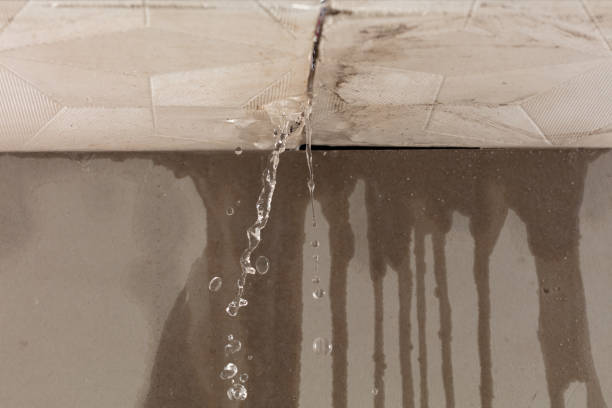 Professional Burst Pipe Cleanup technician working in Highwood, IL